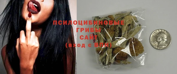 метадон Арсеньев