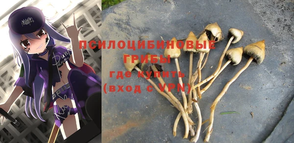 твердый Армянск