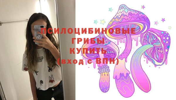 твердый Армянск